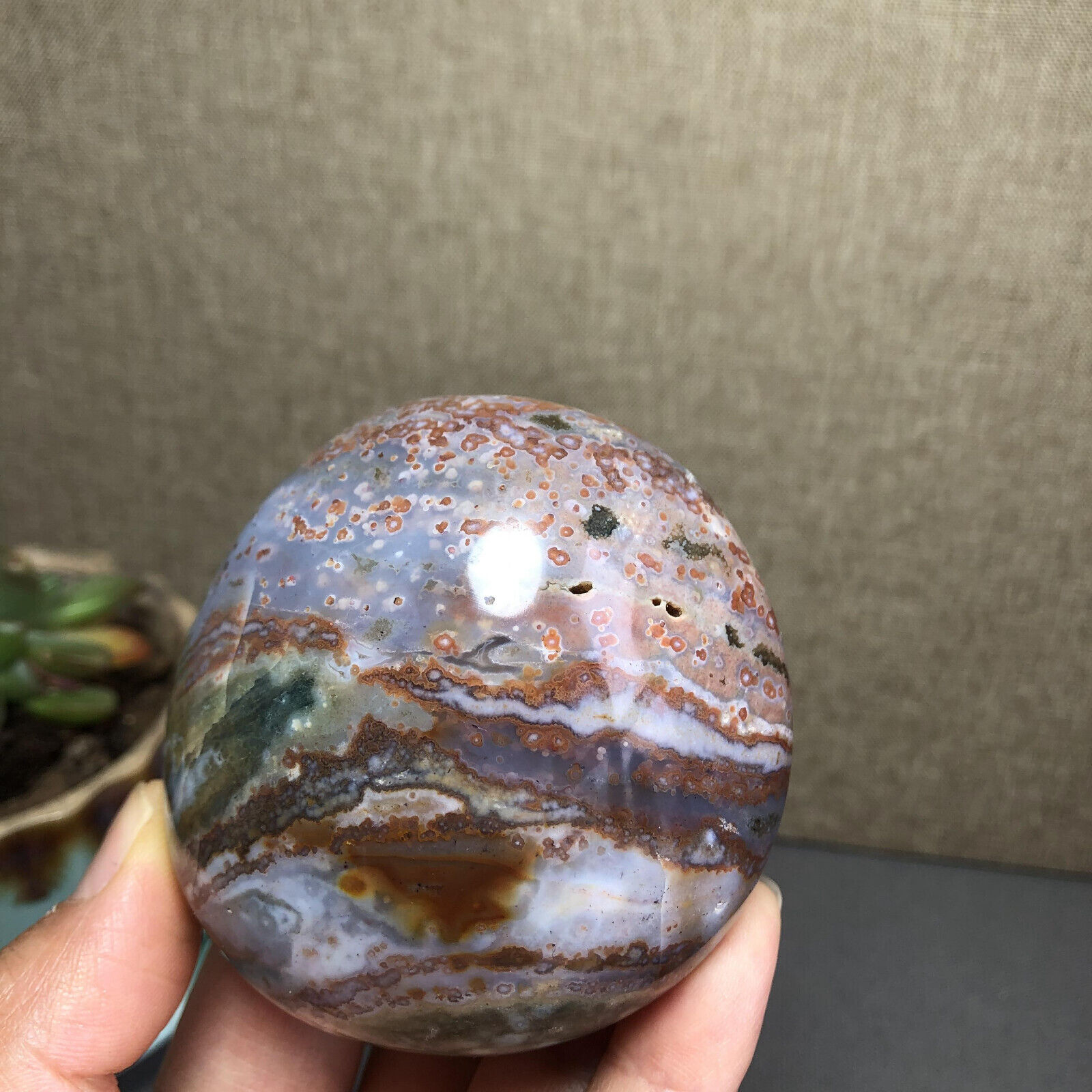 NATURAL Sea Ocean Jasper quartz Crystal polished Mineral specimens 264g A1446