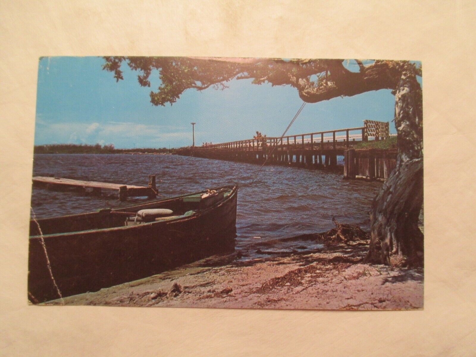 Florida Postcard Fishing from Bridge Venice FL
