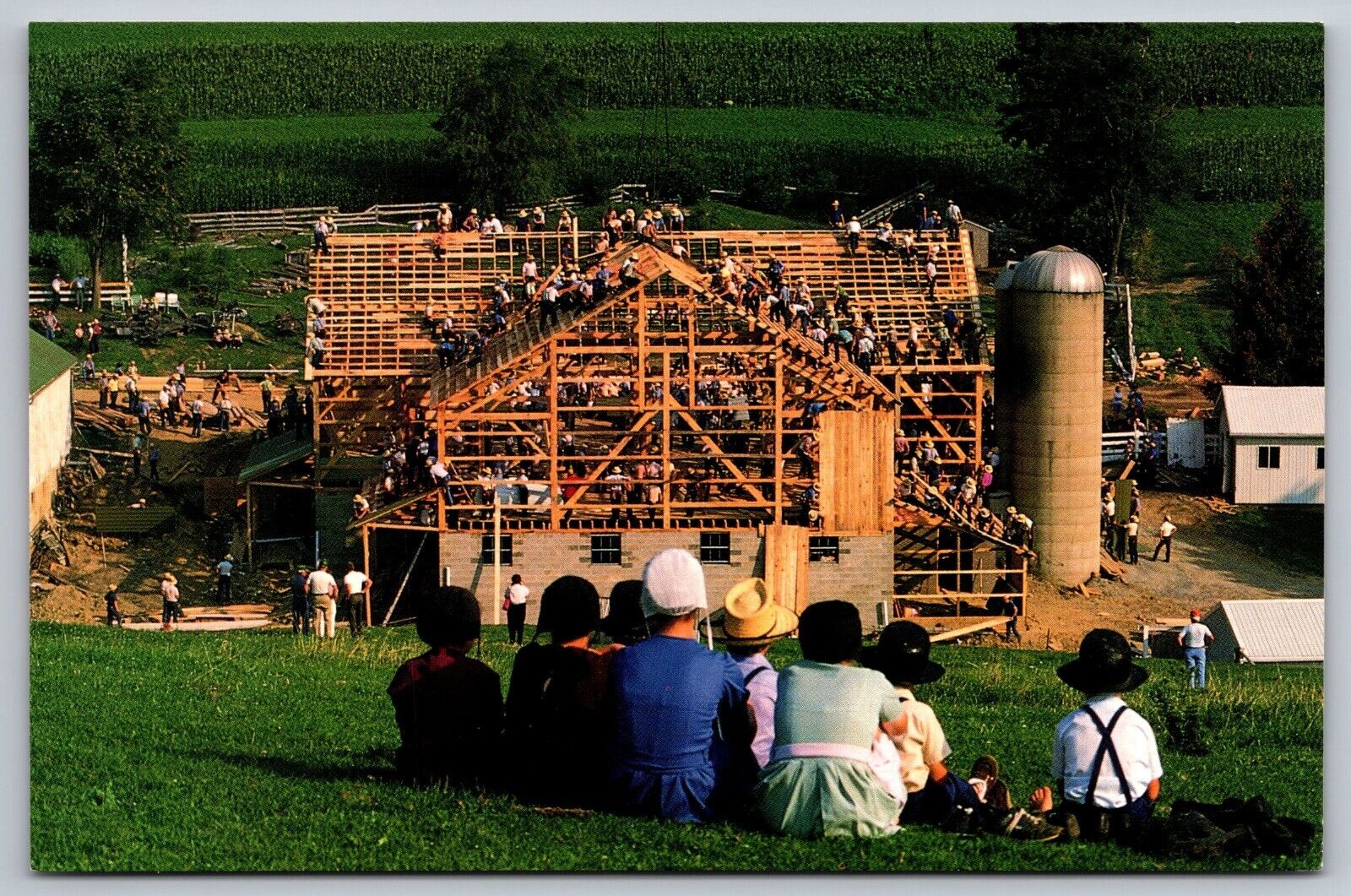 Postcard of Amish Barn Raising in Farmerstown Ohio  (A5)