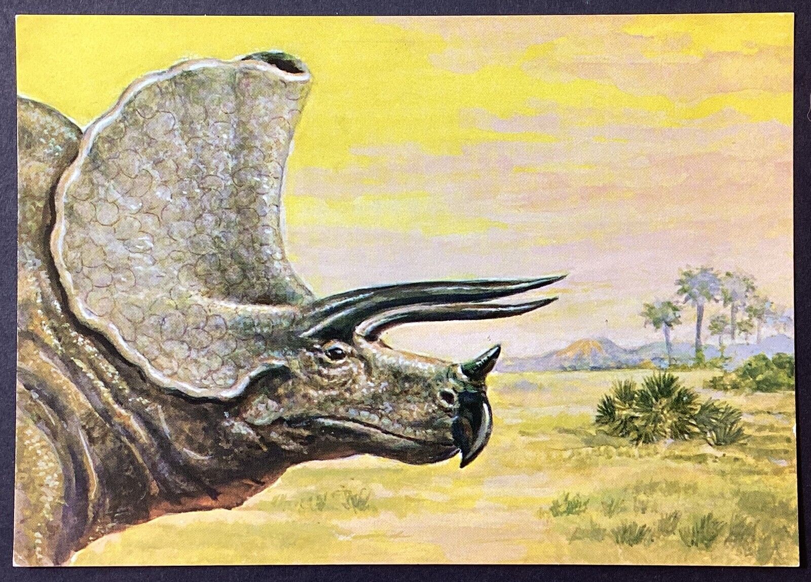 Dinosaur Triceratops Vintage Continental Postcard Unposted