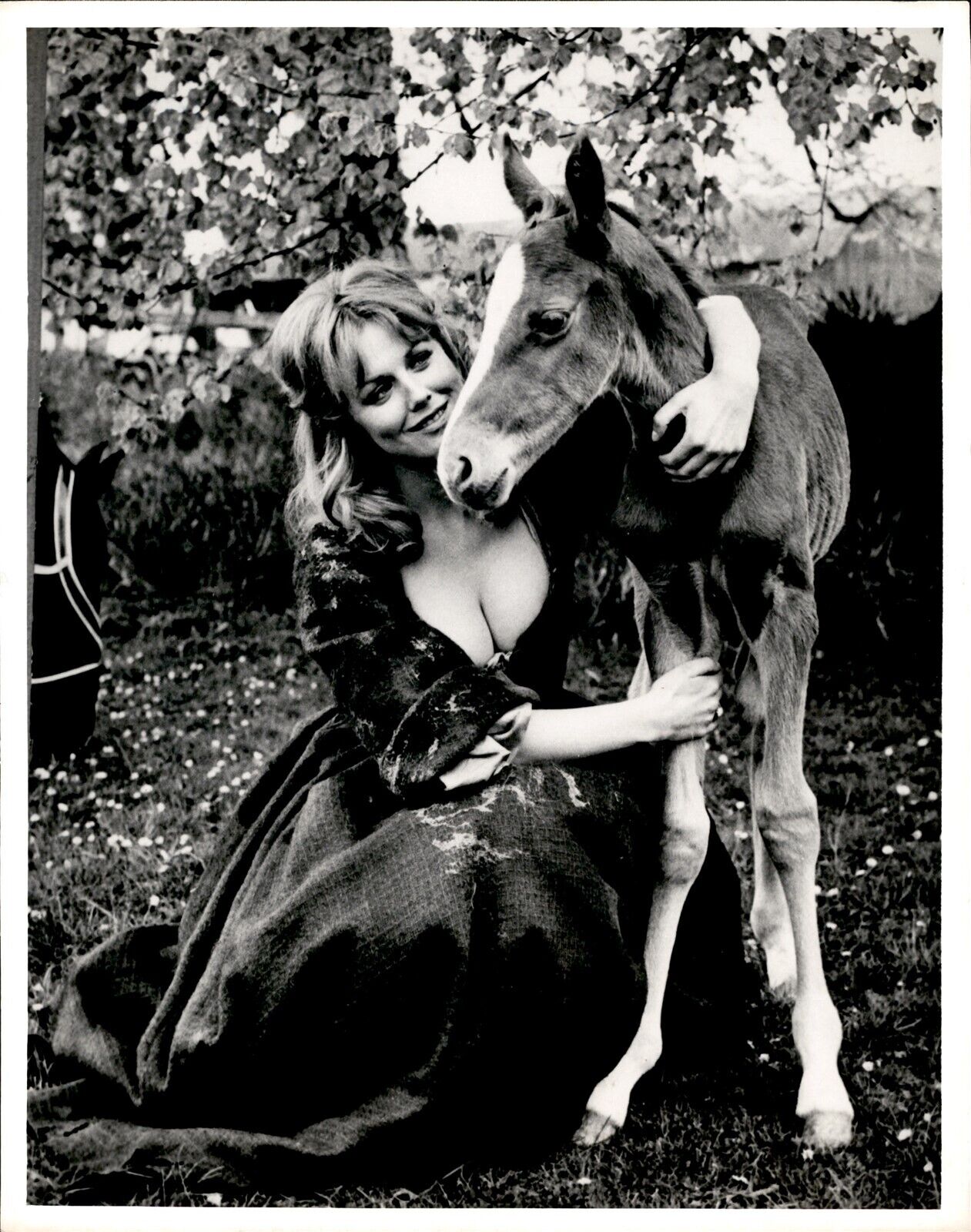 LD331 1968 Original UPI Photo FIONA LEWIS & EDGEWORTH BESS HORSE DUBLIN IRELAND