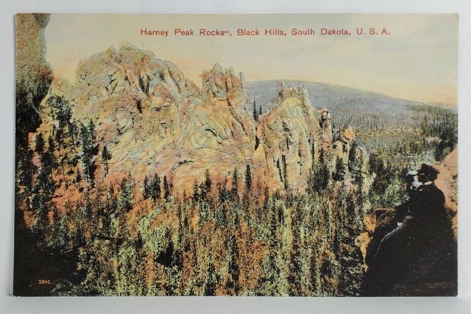 South Dakota Man on Cliff Harney Peak Rocks Black Hills Postcard S19