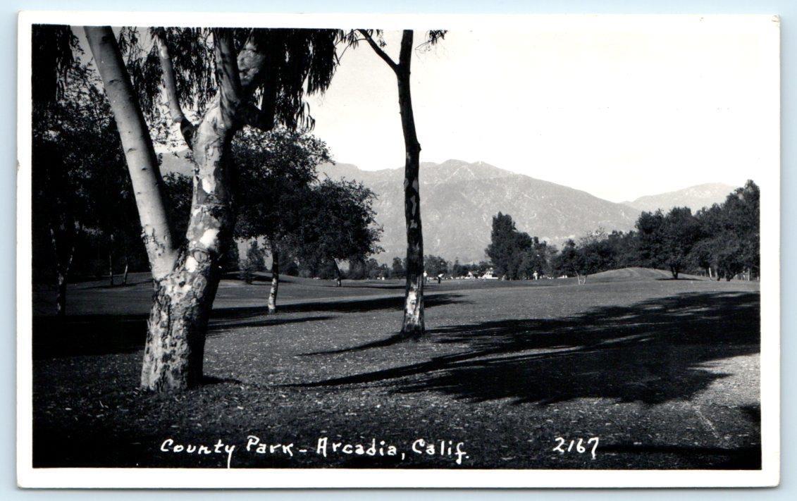 RPPC ARCADIA, CA California ~ County Park GOLFING SCENE  c1940s  Postcard