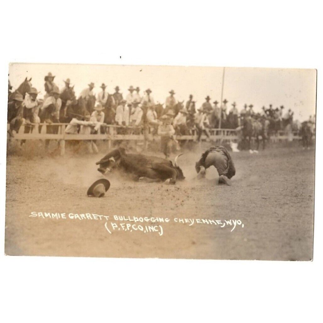 RPPC Sammie Garrett Bulldogging Cheyenne Wyo (P.F.P.Co.Inc.) Rodeo Cowboy West