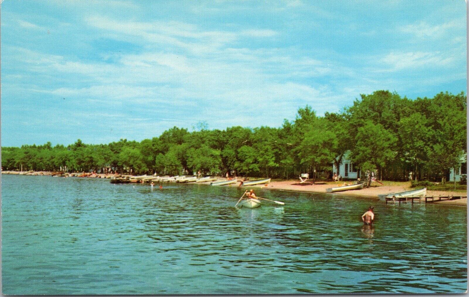 Postcard Shoreline Northern Minnesota Lake  Chrome