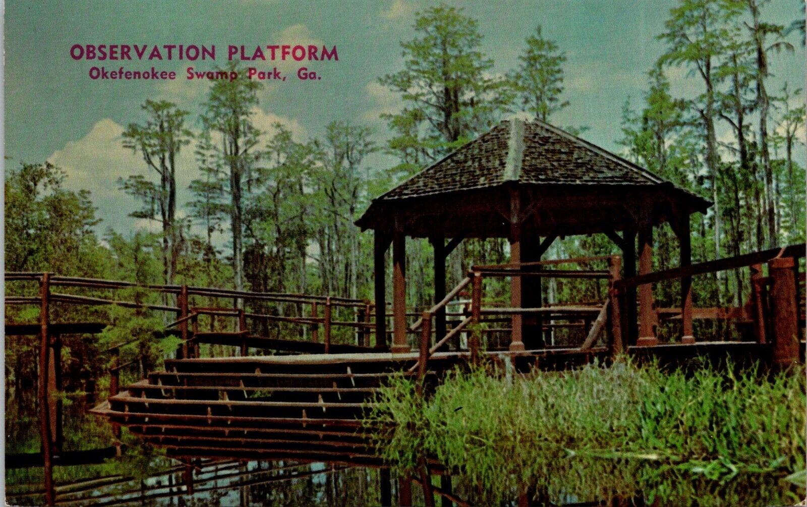 Okefenokee Swamp Park, GA Observation Platform Postcard Chrome Unposted