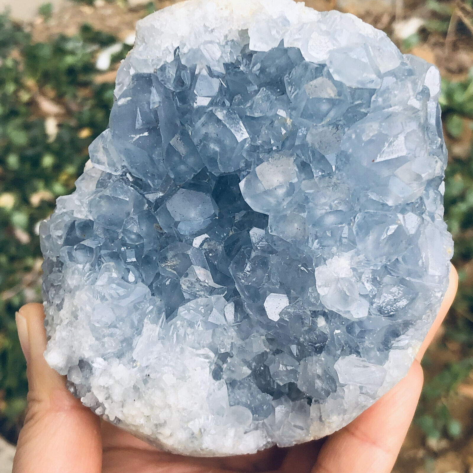 2.83LB  Natural Beautiful Blue Celestite Crystal Geode Cave Mineral Specimen