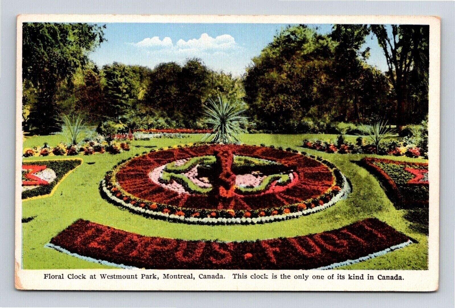 Floral Clock Westmount Park Montreal Canada WB Postcard UNP Unused VTG Vintage