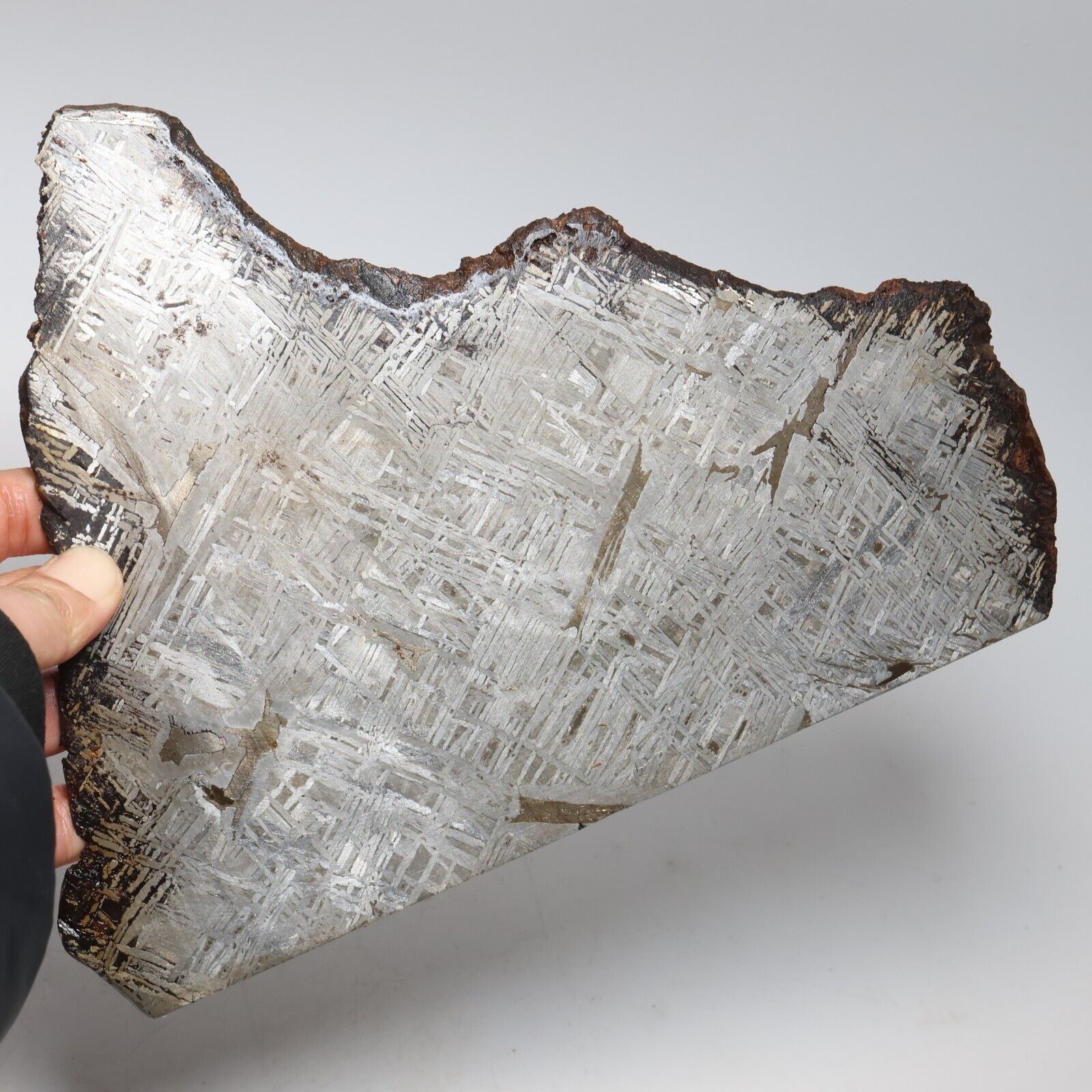 638g  Muonionalusta meteorite part slice C7186