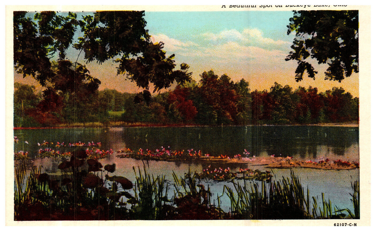 Buckeye Lake Ohio Landscape Flowers Scenic c.1930 Vintage White Border Postcard