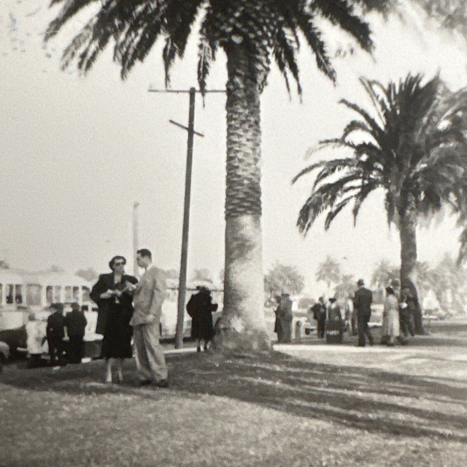 VINTAGE PHOTO 1950s Santa Monica Park, Los Angeles, California small Original