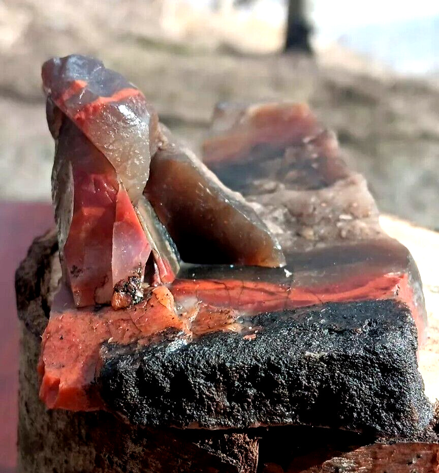 Volcanic Crust Petrified Wood Limb Cast Sculpter Cut Looks Like Volcano Red Lava