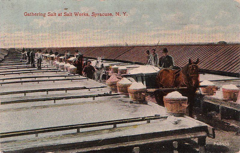  Postcard Gathering Salt Salt Works Syracuse NY