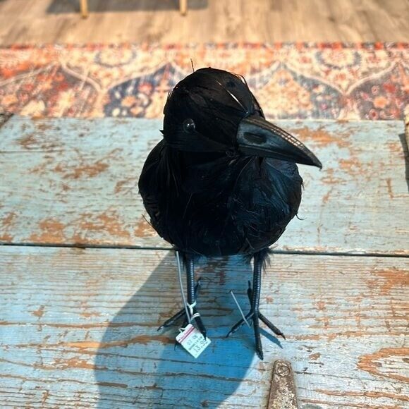Vintage Feathered Crow purchased at Ben Franklin