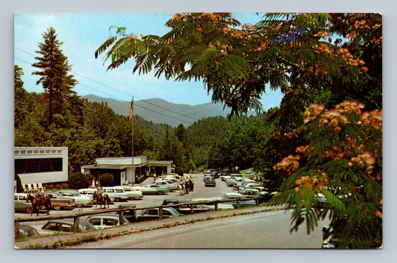 Fontana Village Resort, North Carolina NC - Vintage Chrome Postcard - Old Cars