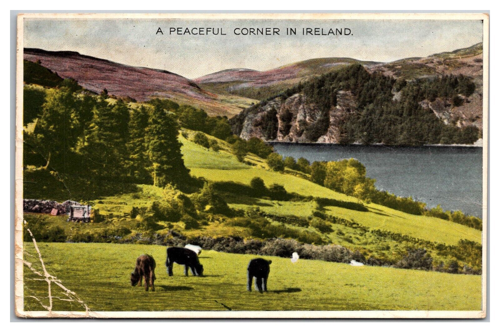 A Peaceful Corner In Ireland Postcard