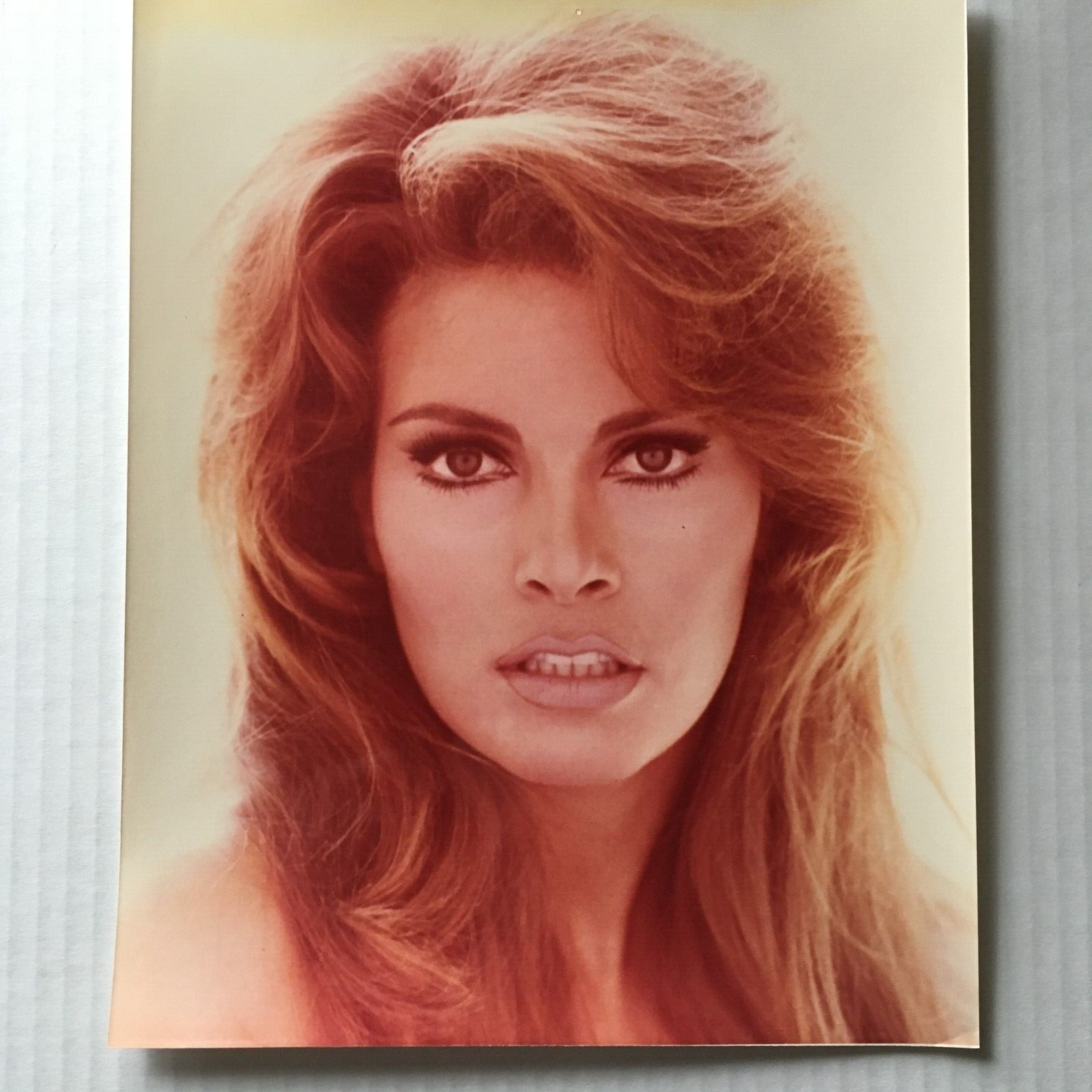 Raquel Welch Photo 8 x 10 Color Glossy Sexy 