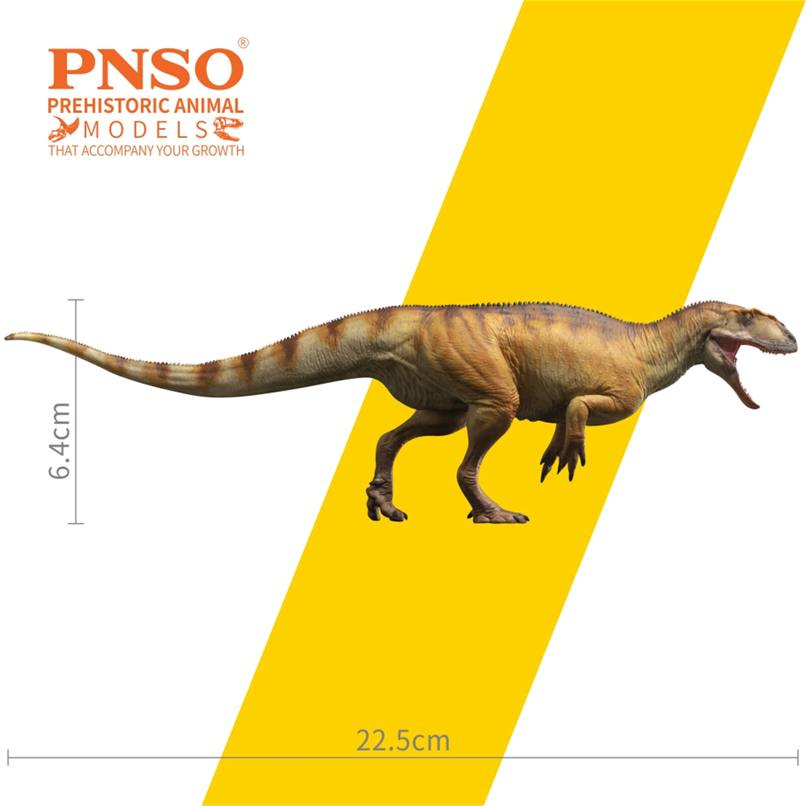 PNSO 77 Yangchuanosaurus shangyouensis Dayong Dinosaur Model Animal Decoration