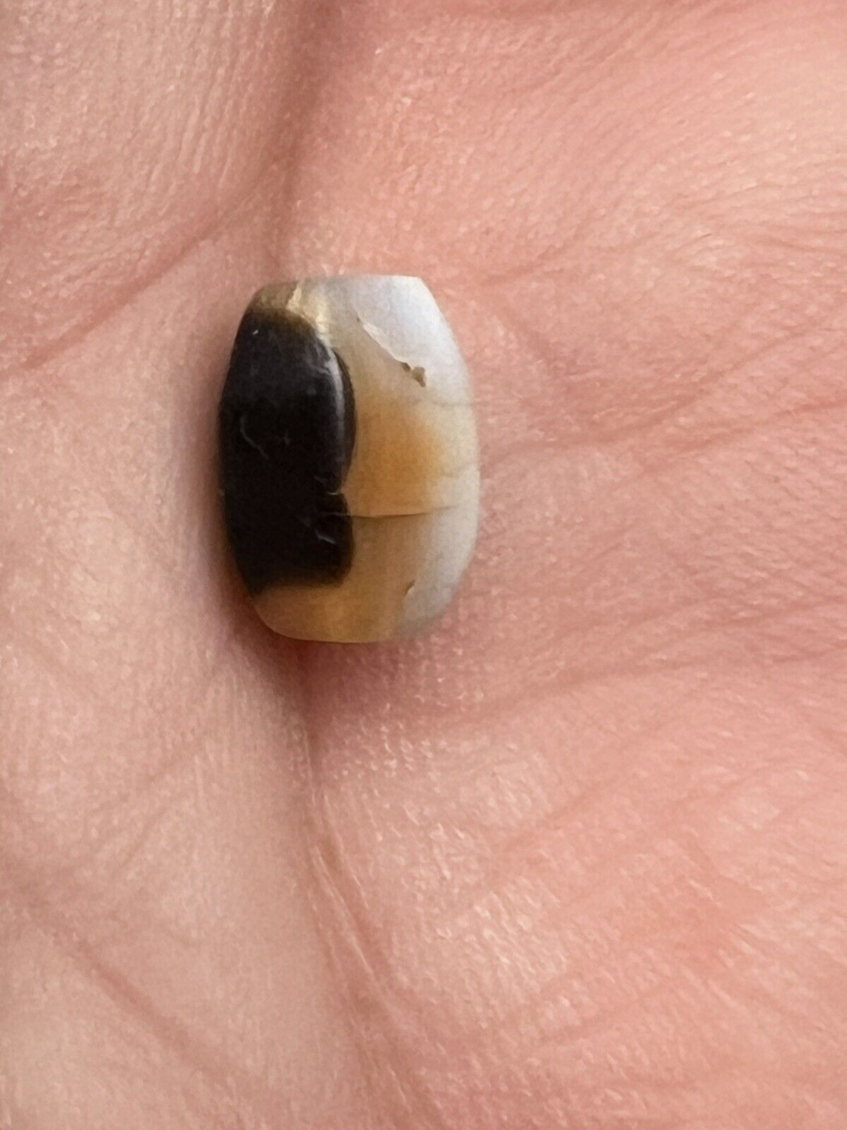 Ancient Tricolor Chung Faceted EYE Bead 8.9 x 7.4 x 5.7 mm collectible artifact