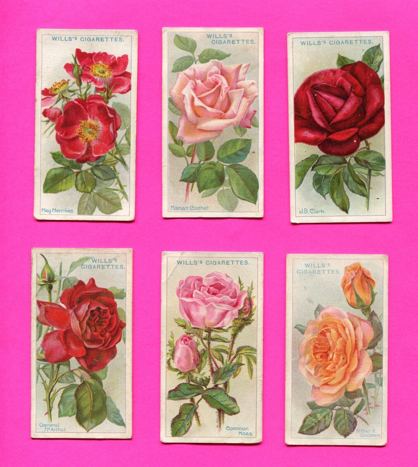 1912 W.D. & H.O. WILL\'S CIGARETTES ROSES SERIES 1 COLLECTOR 6 CARD LOT