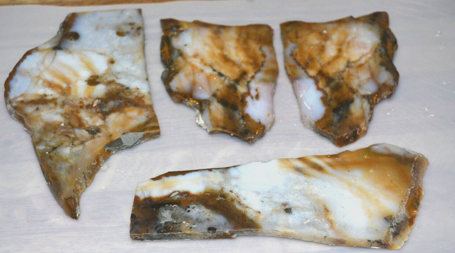 Polka Dot Agate Rough Slabs -Oregon 1 pound OLD STOCK 4 Slabs Lapidary Crafts