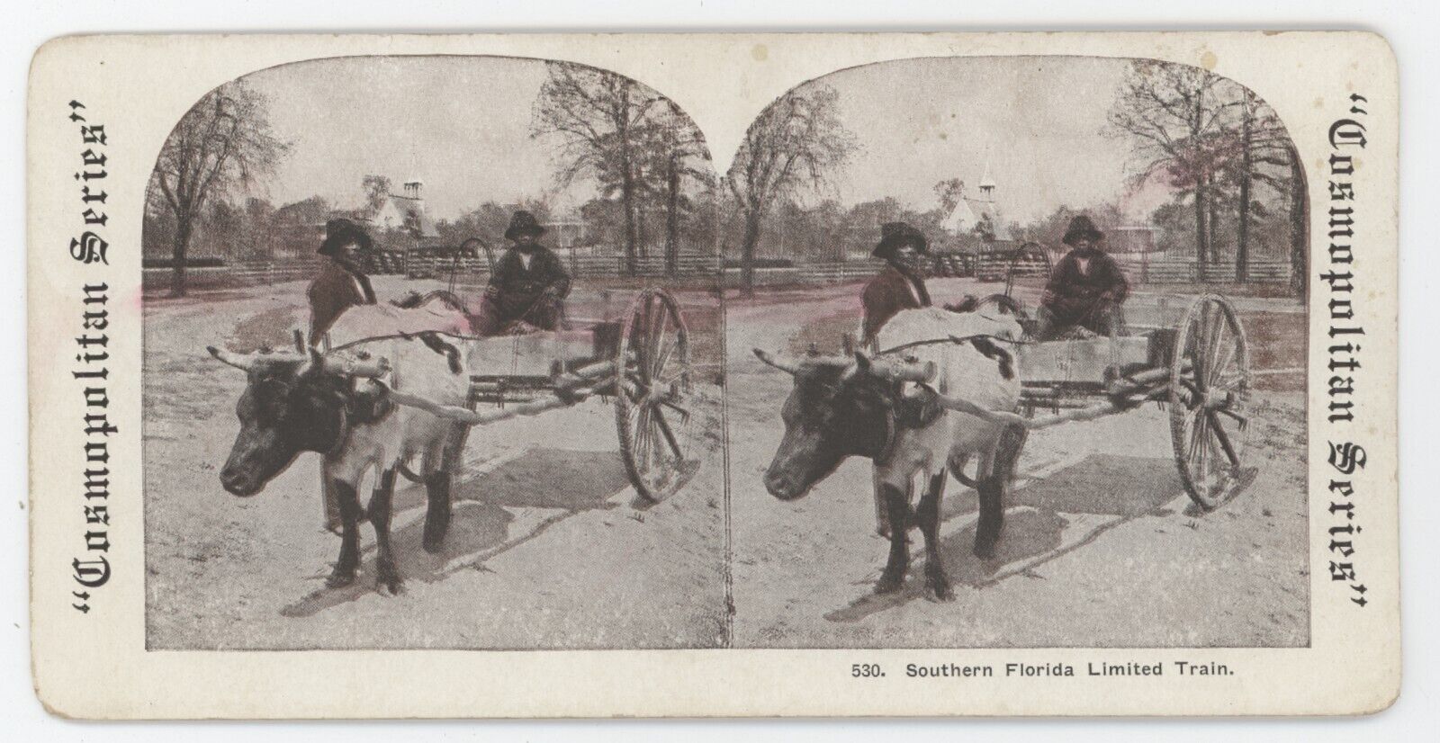 c1900's Stereoview Southern Florida Limited Train. African American Men & Bull