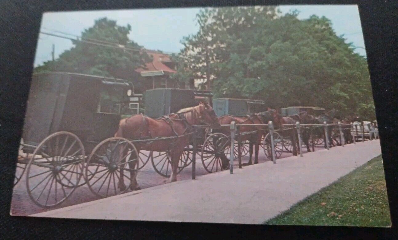 Amish Horse And Buggys In Millersberg Ohio