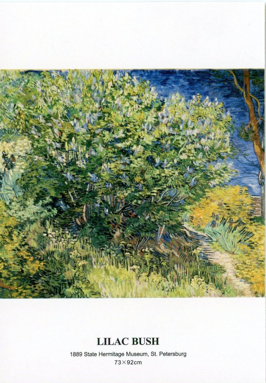 Lilac Bush, 1889, Vincent van Gogh (Dutch, 1853-1890) --POSTCARD