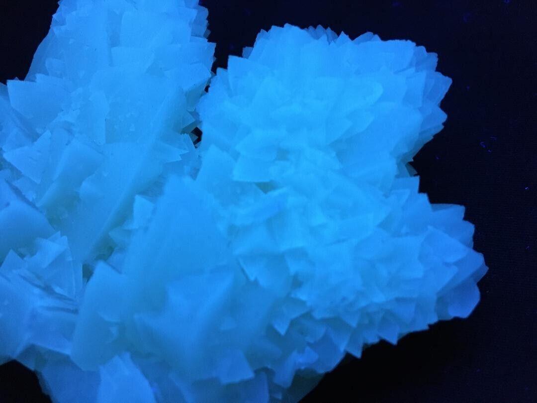 KB: FANTASTIC SW, LW FL. & PHOS. BLUE/WH CALCITE XLS ON MATRIX FROM ITALY