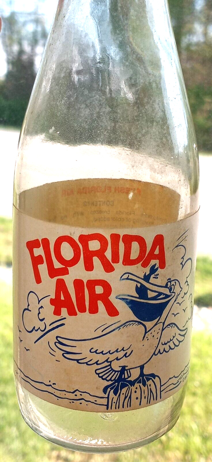 Vintage December 1978 Florida Air Souvenir Bottle