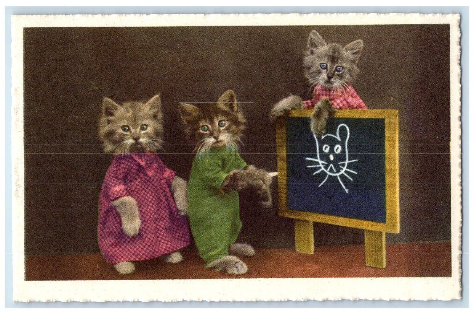 c1910\'s Anthropomorphic Cute Cat Drawing Board Studio Portrait Antique Postcard