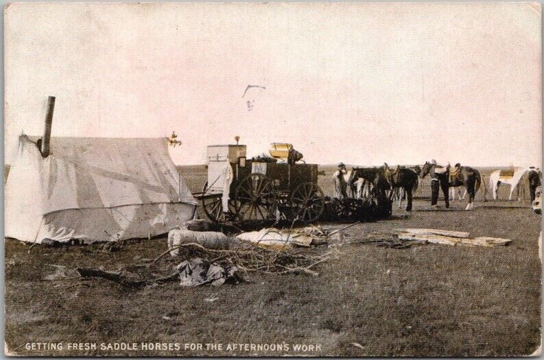 1908 Cowboy Postcard \