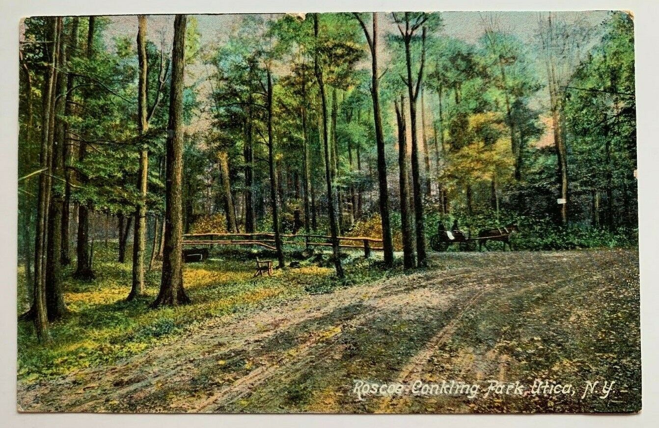 1909 NY Postcard Utica New York Roscoe Conkling-Park path trees scenic view