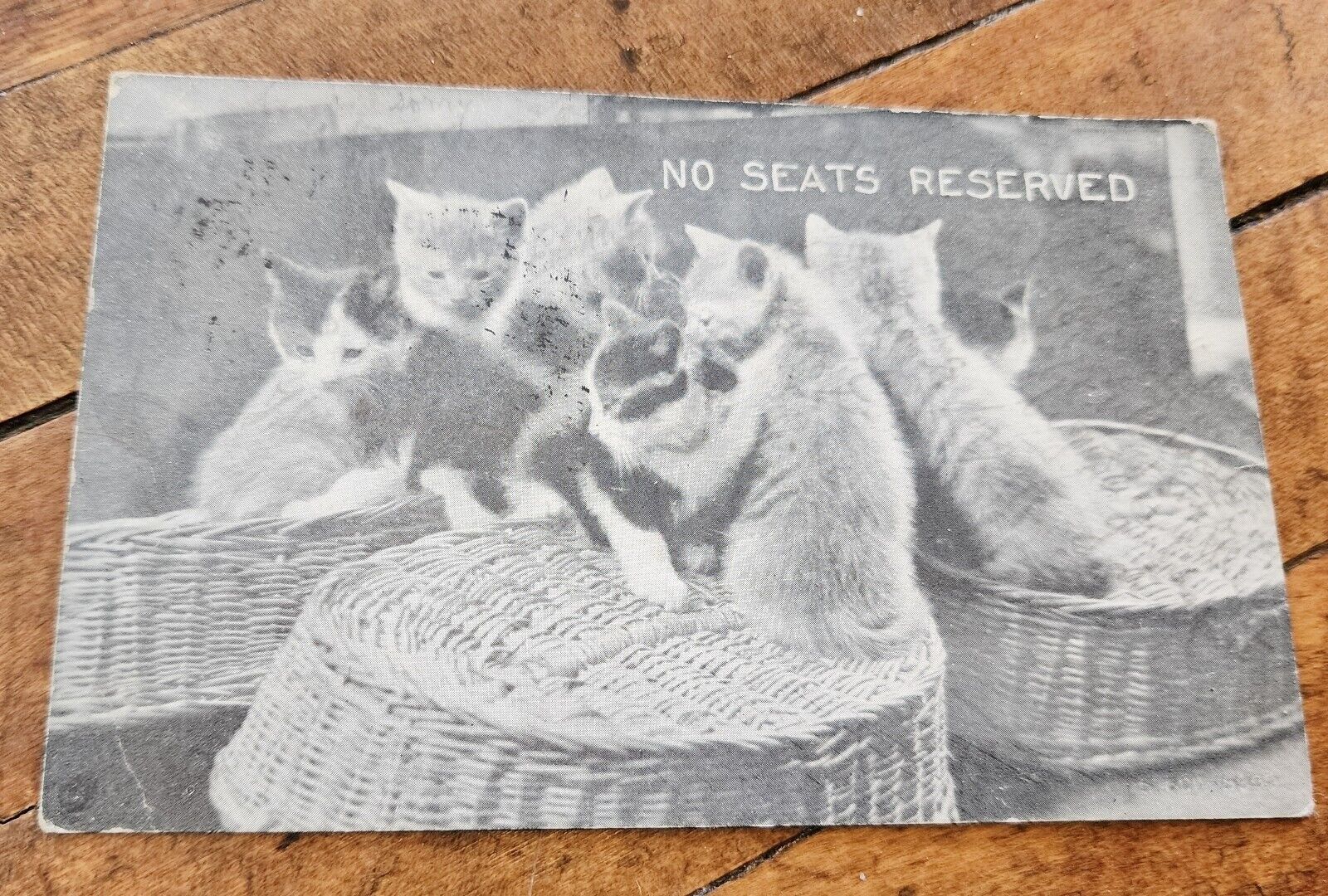 Vintage 1907 Humorous Litho Postcard Undivided Back NO SEATS RESERVED Kittens