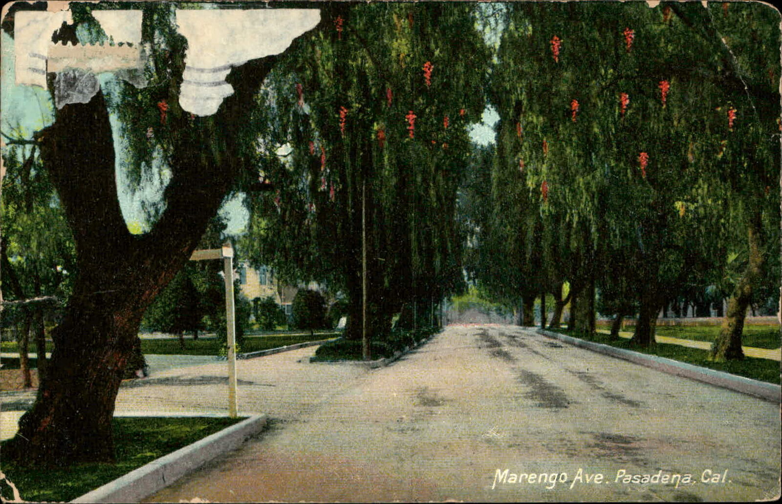 Postcard: Marengo Ave. Pasadena, Cal.