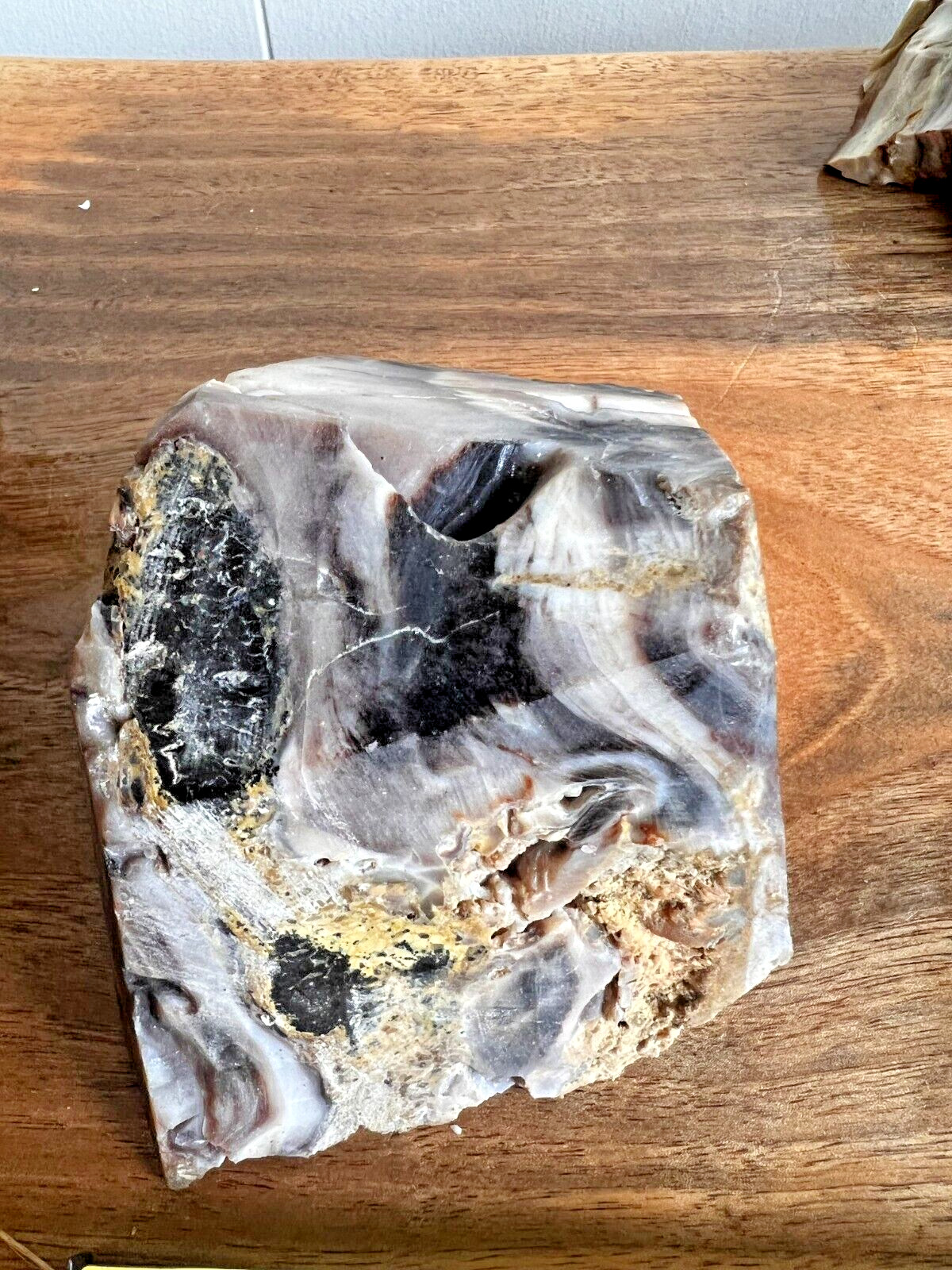 petrified wood rough Wa State opalized lapidary display 1.4 lb deep purple white