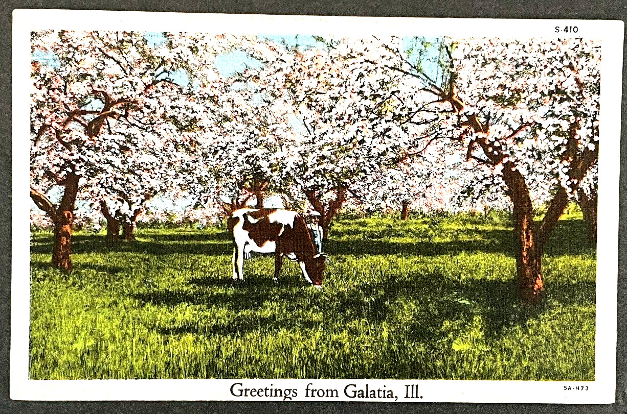 Galatia Illinois Saline County iL VIntage Unused Old Linen Collectible Postcard