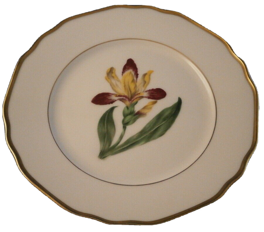 Antique Augarten Vienna Original Period Flower Plate Porcelain Porzellan Teller