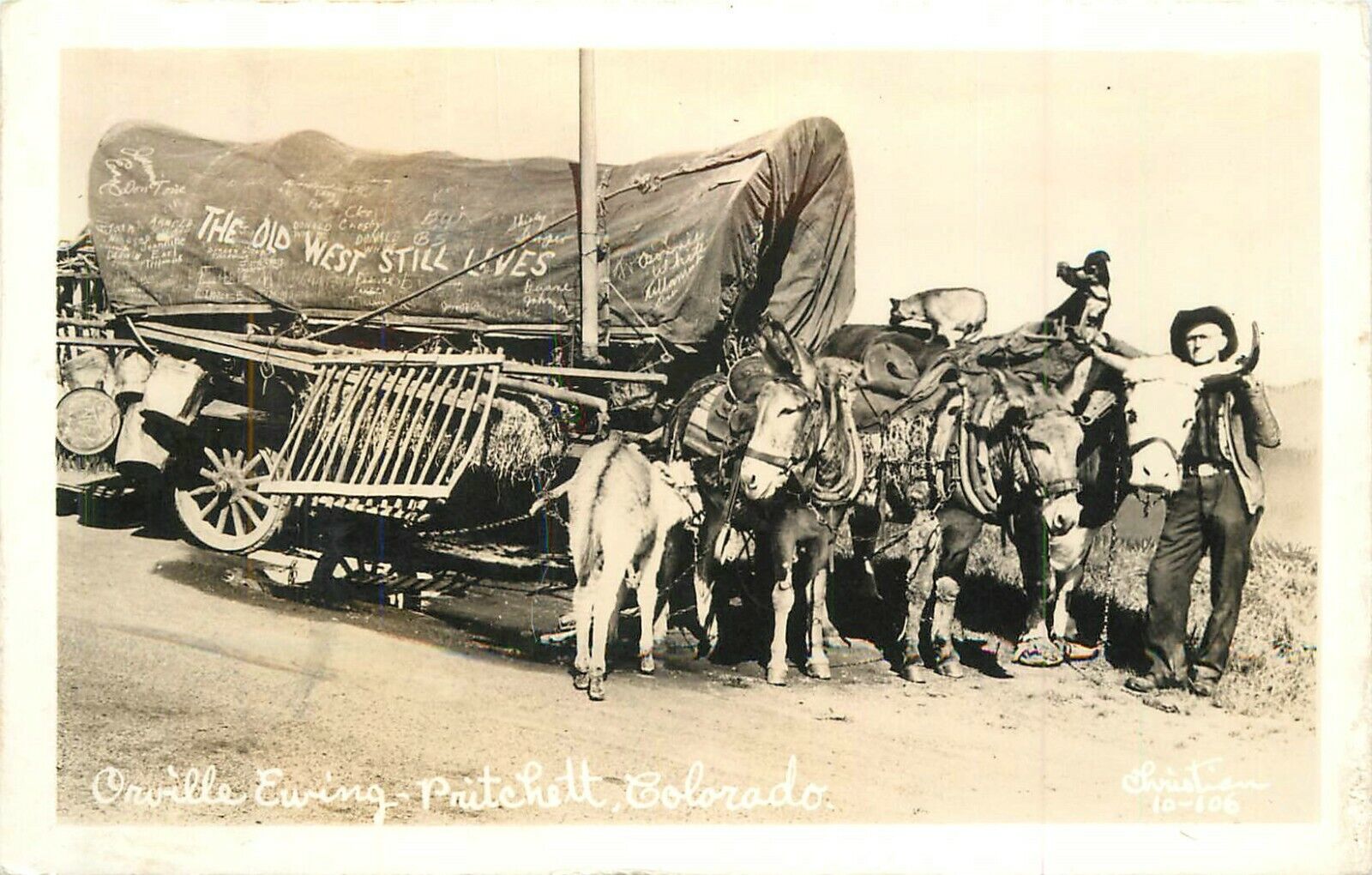 Pritchett Colorado RPPC Photo Postcard Orville Ewing Mules 22-601