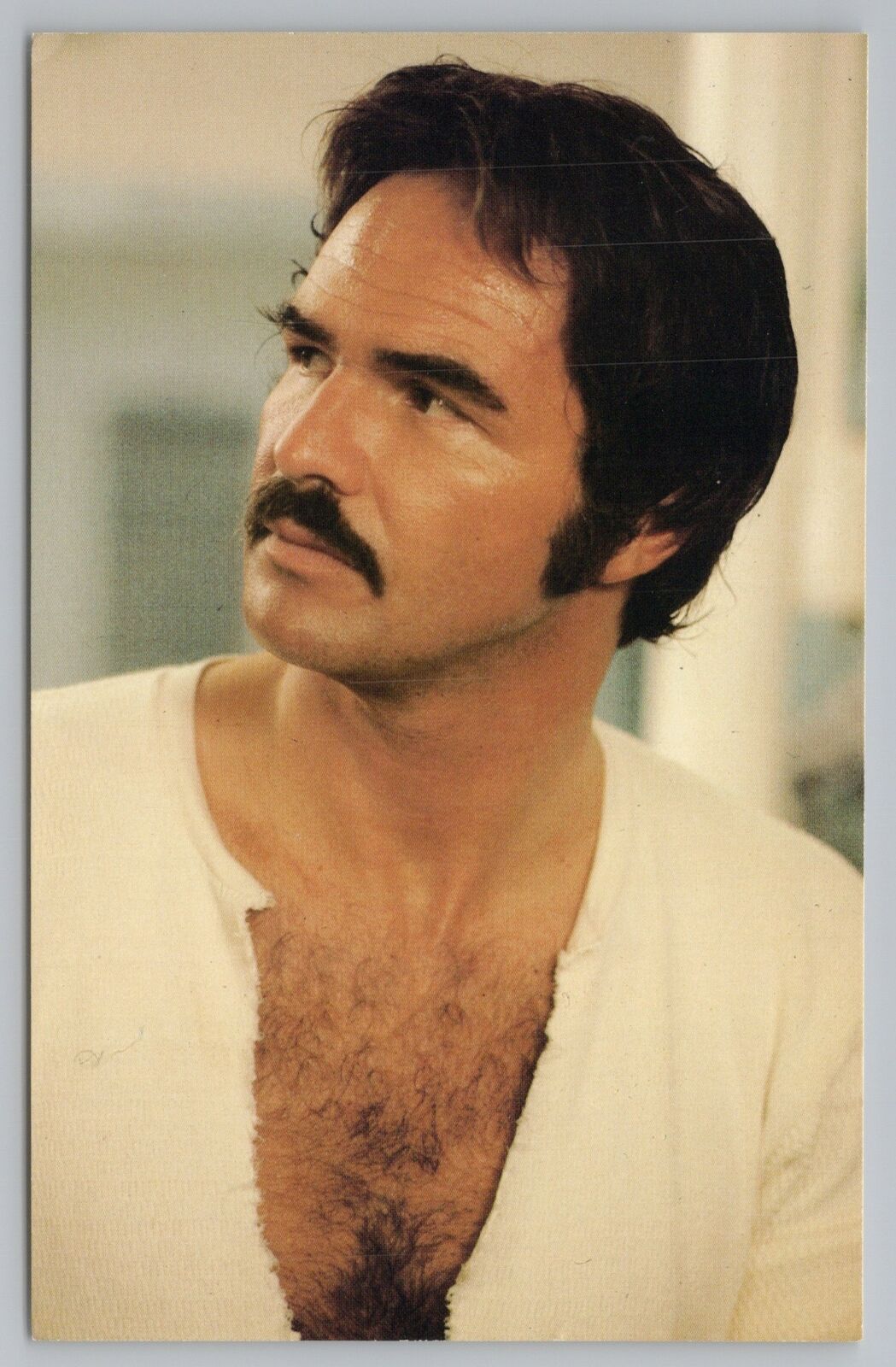 Entertainment~Burt Reynolds~American Actor~Sex Symbol & Icon~Vintage Postcard