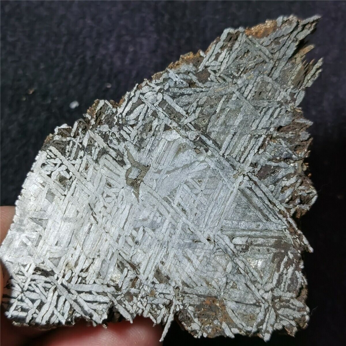 222g Beautiful Iron meteorite-Muonionalusta meteorite part slice  A1480