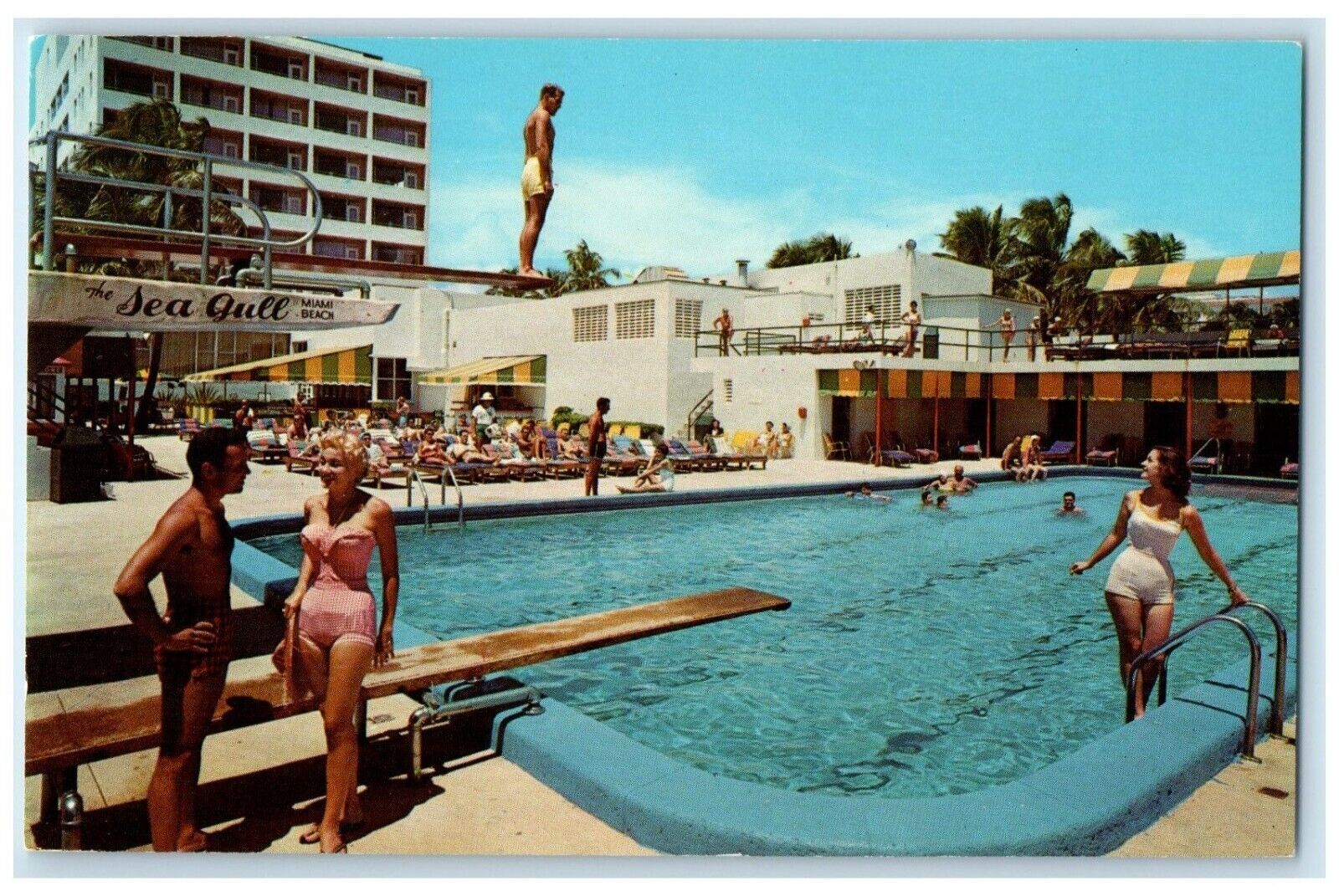 c1950\'s The Sea Gull Hotel Pool Cabana Club Miami Beach Florida FL Postcard