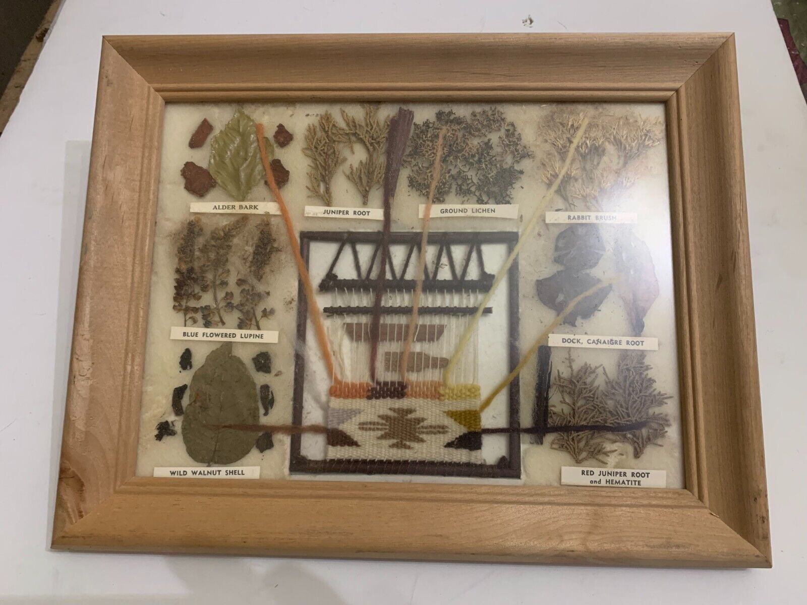 Vintage Western American Indian Weaving 8 Botanical Specimens by Rou Myer Framed