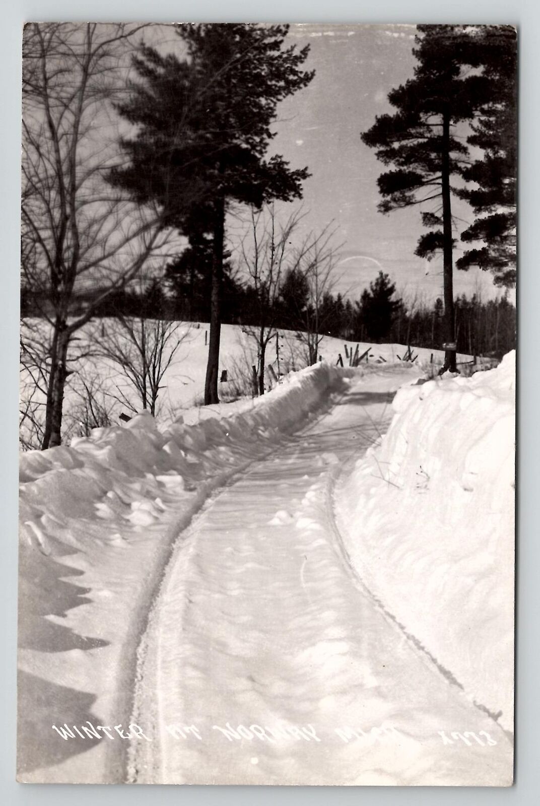 Michigan RPPC Norway Winter Scene Amasa Cancel 1945 Roosevelt Stamp Postcard