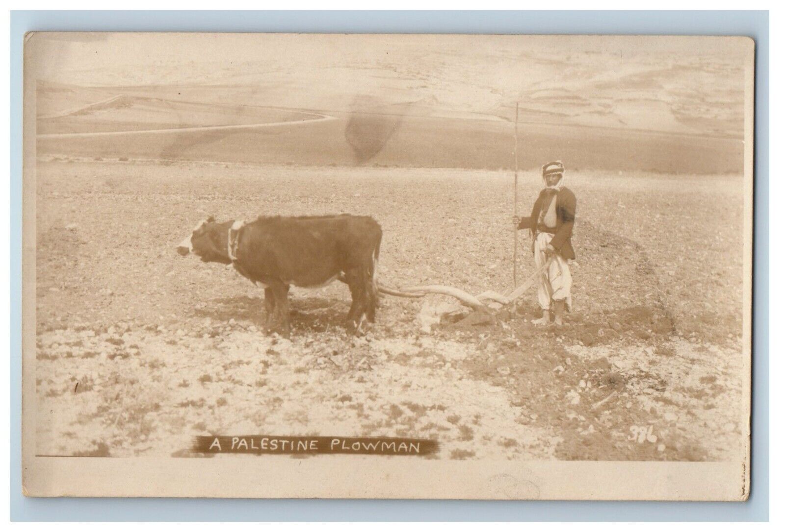 c1920's A Palestine Plowman Cow Field Farmer RPPC Photo Vintage Postcard