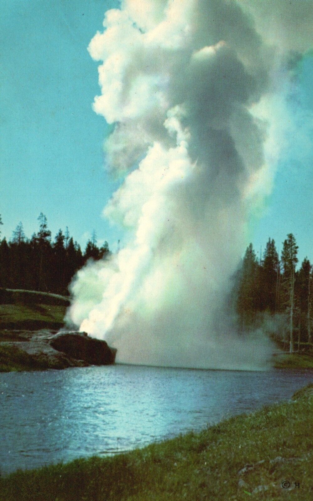 Postcard WY Yellowstone National Park Riverside Geyser 1954 Vintage PC H3177