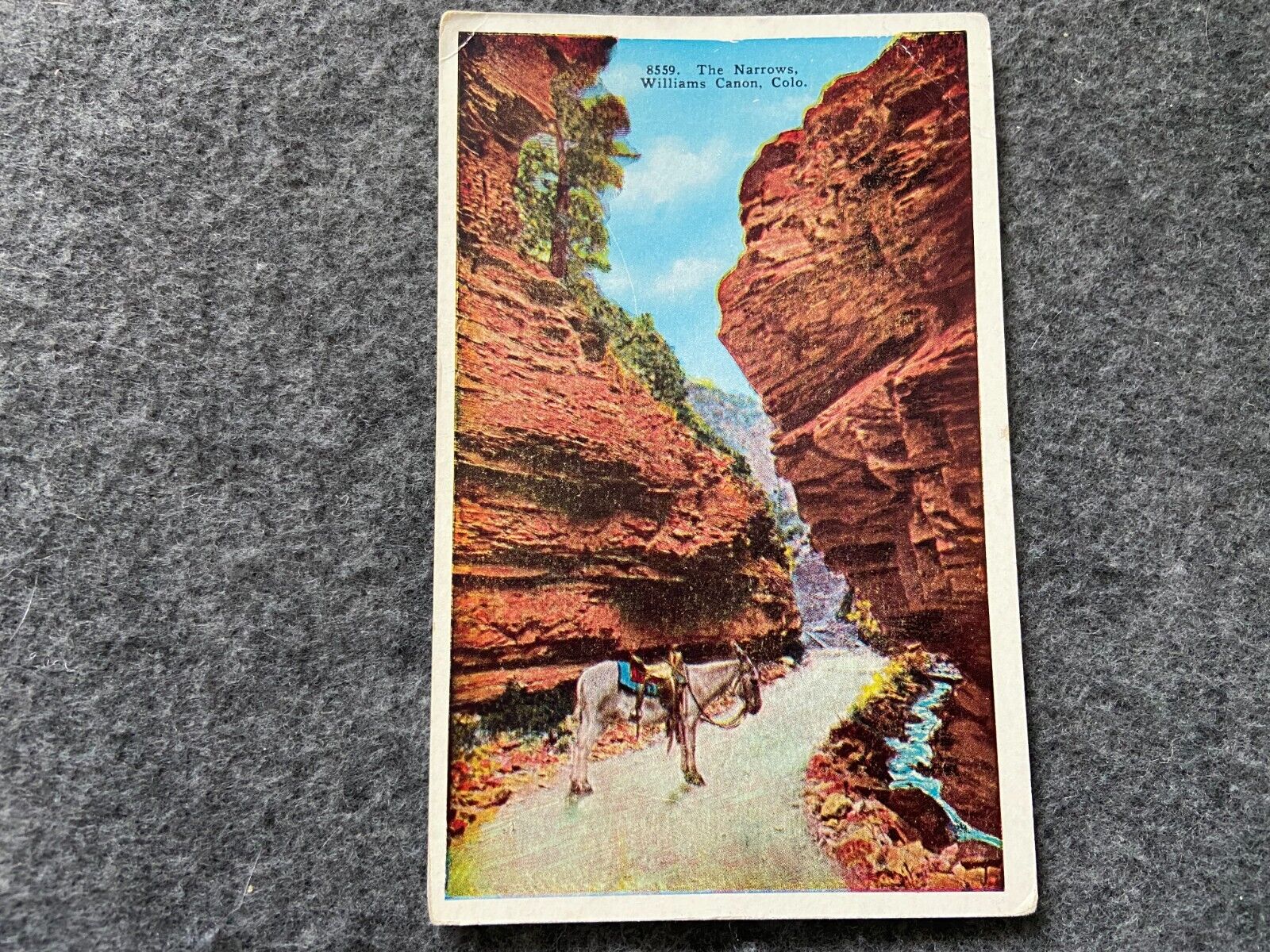 The Narrows, Williams Canyon, Colorado Vintage Postcard