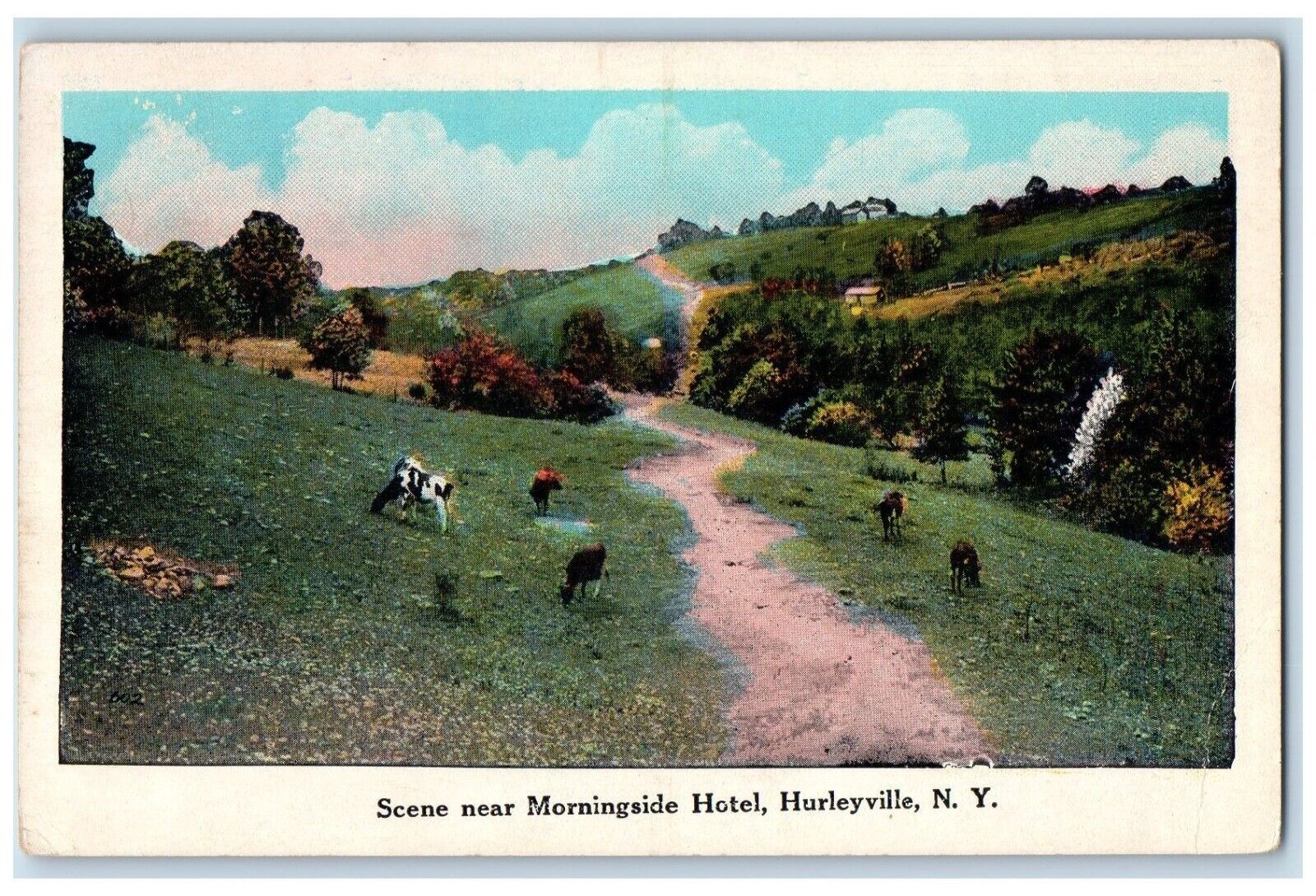 c1920 Scene Morningside Hotel Cow Field Exterior Hurleyville New York Postcard