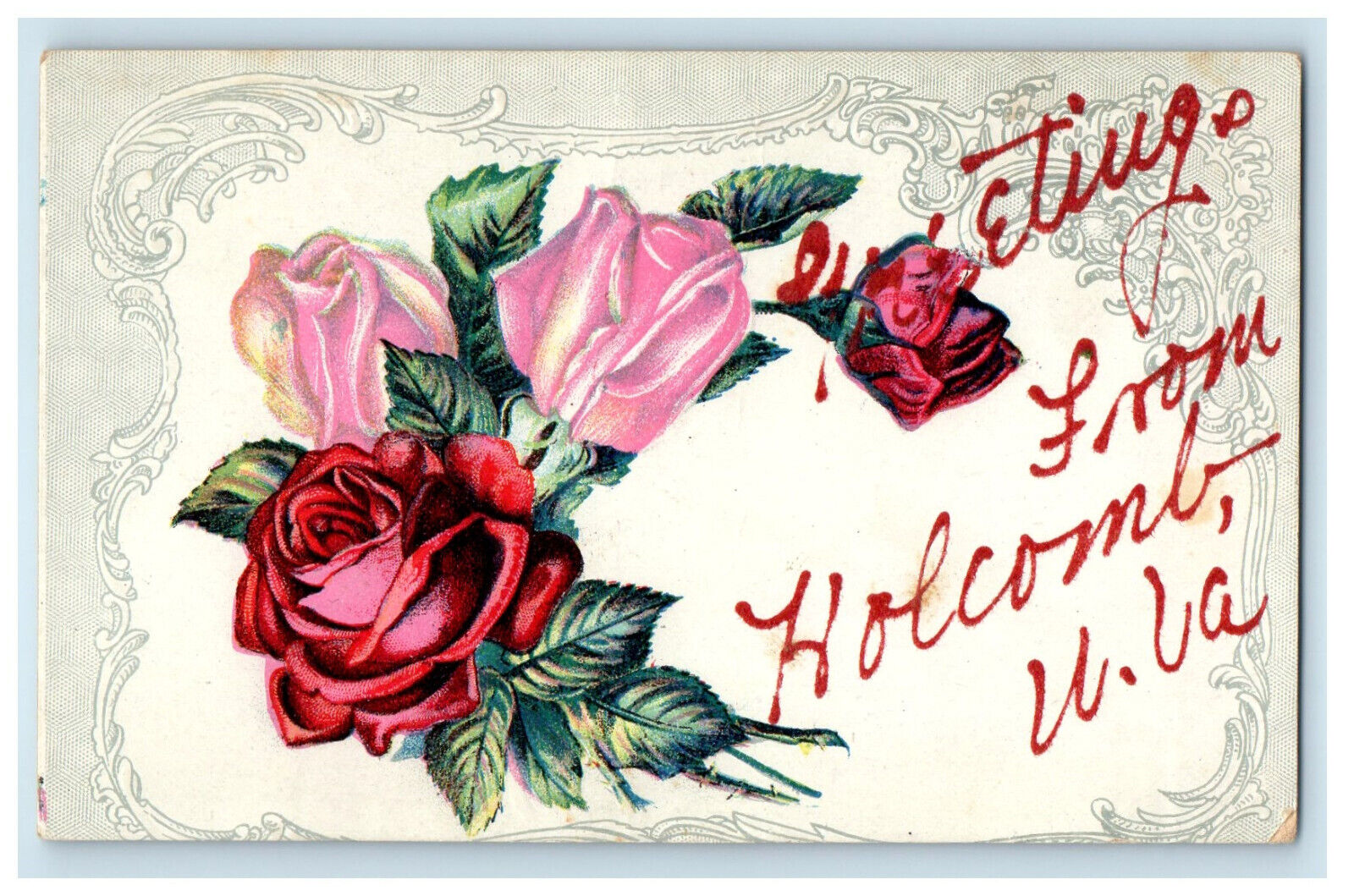 c1910 Pink and Red Flower, Grey Frame, Greetings from Holcomb WV Postcard