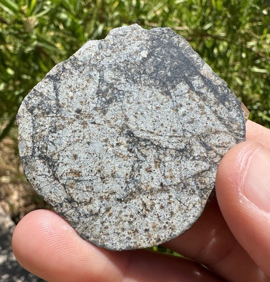 Vinales Meteorite Slice, Vinales, L6 Chondrite, Wintessed Fall, Space, 16.77g